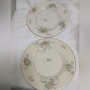 Pair Of Theodore Haviland New York dinner plates. Apple Blossom pattern